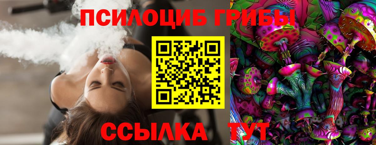 Луховицы  Галлюциногенные грибы Psilocybe  Вход с VPN 